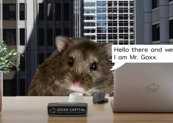 Chú chuột hamster tự giao dịch tiền số, giúp chủ lãi gần 24%