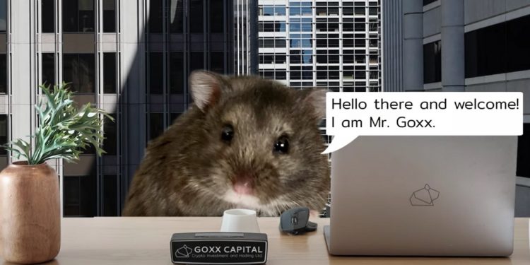 Chú chuột hamster tự giao dịch tiền số, giúp chủ lãi gần 24%