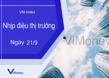 ViMoney-nhip-dieu-thi-truong-21-9.jpg