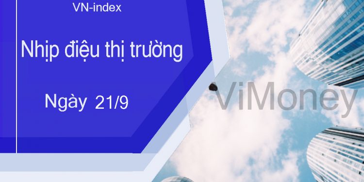 ViMoney-nhip-dieu-thi-truong-21-9.jpg
