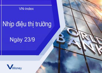 ViMoney-nhip-dieu-thi-truong-23-9