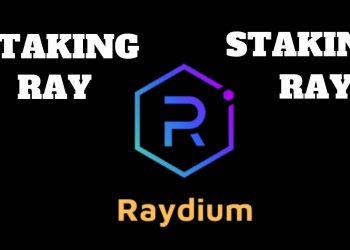 ViMoney - raydium-huong-dan-chi-tiet-staking-ray-tren-san.jpg