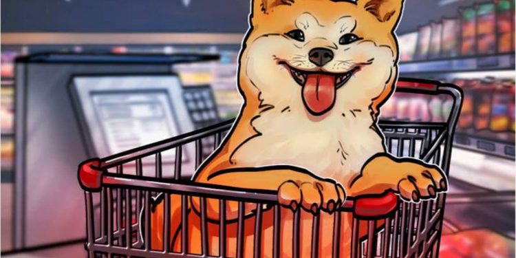 SHIB bùng nổ giá trị tới 44% sau khi niêm yết trên Coinbase