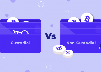 ViMoney - so-sanh-vi-custodial-va-non-custodial-2