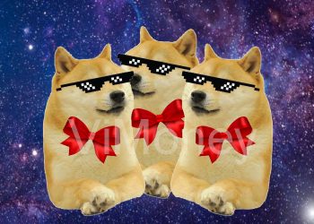 Vimoney-dogecoin-dau-gia-doge-memejpg