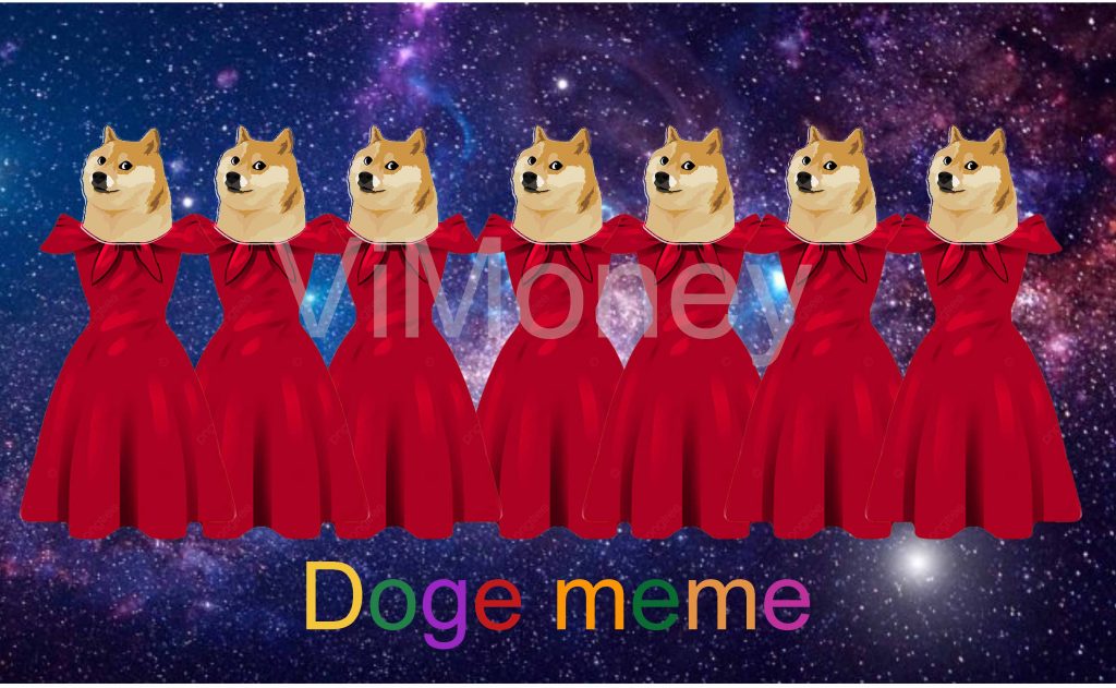 Doge meme
