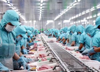 Xuất khẩu thủy sản chỉ đạt 588 triệu USD