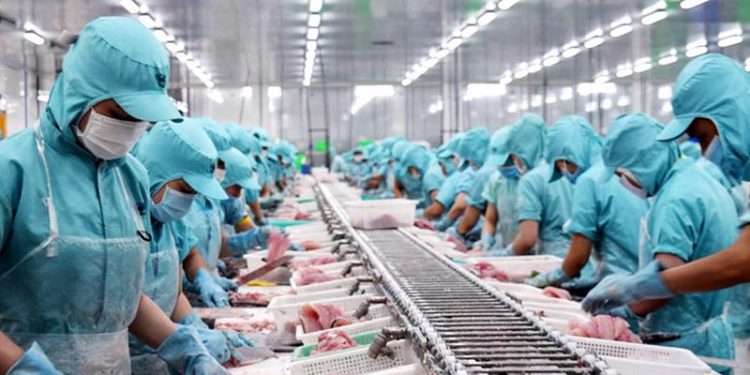 Xuất khẩu thủy sản chỉ đạt 588 triệu USD