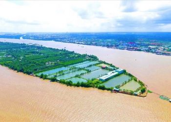 Cần Thơ khai tử dự án 1.571 tỷ đồng của TMS Group