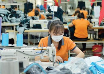 Hà Nội: khôi phục sản xuất cho "vùng xanh" từ 21/9