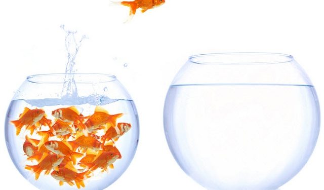 TS4 bị hủy niêm yết trên HOSE, chuyển sang UPCoM