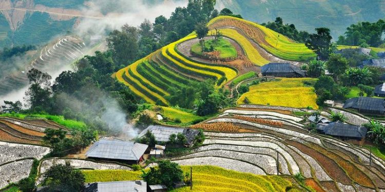 Ngành du lịch "thích ứng an toàn với dịch Covid-19"