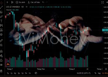vimoney-lat-mat-lai-gia-co-phieu (4).jpg