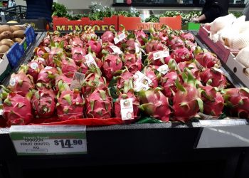 Thanh long Việt Nam rộng đường vào Úc