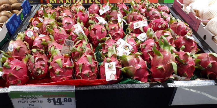 Thanh long Việt Nam rộng đường vào Úc