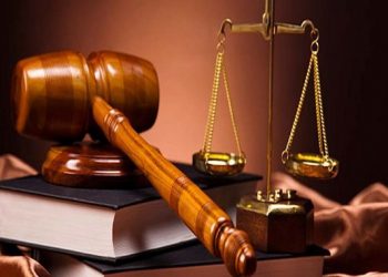 ViMoney - Vi phạm công bố thông tin, nhiều giám đốc điều hành và người có liên quan bị phạt