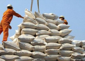 Đảm bảo xuất khẩu gạo bằng 4 nhóm giải pháp