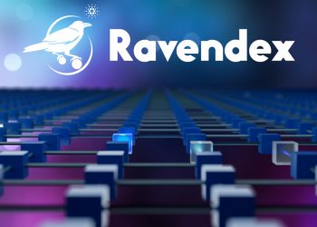 RavenDex ra mắt bản demo giao diện người dùng (UX/UI)