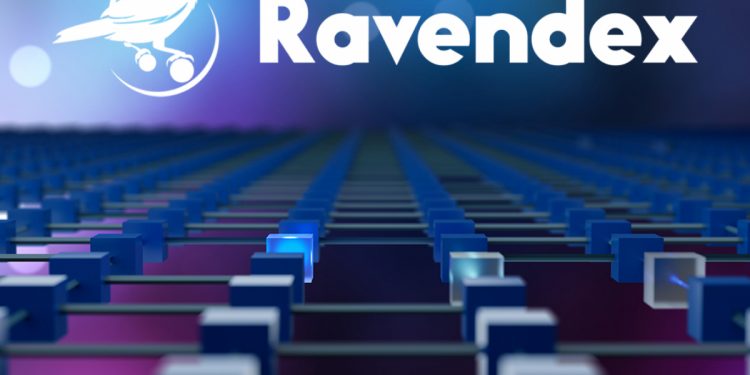 RavenDex ra mắt bản demo giao diện người dùng (UX/UI)