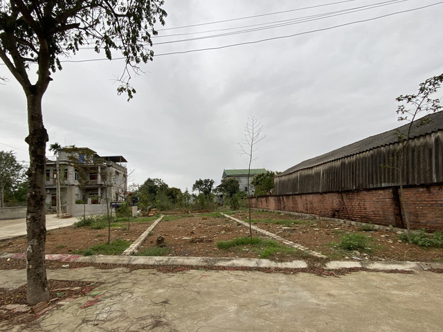 Một nhà đầu tư Chủ đầu tư