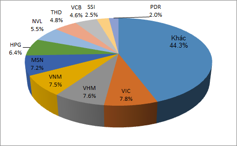 VNM ETF rút vốn lần đầu trong năm 2021 - Top 10 cổ phiếu trong danh mục