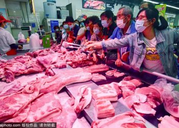 Bình ổn “giá thịt lợn”; bài toàn khó với quốc gia 1,4 tỷ dân