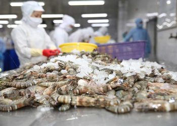 Xuất khẩu tôm kỳ vọng vào 3 tháng cuối năm