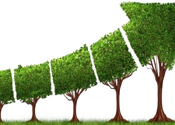 Tại sao Bitcoin, Ethereum và Solana lại đạt được mức tăng lớn trên thị trường?