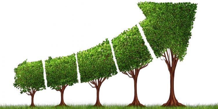 Tại sao Bitcoin, Ethereum và Solana lại đạt được mức tăng lớn trên thị trường?