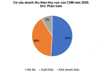 CSM – Triển vọng khả quan nhưng rủi ro tài chính cao