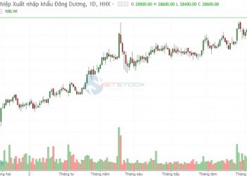 DDG chào bán hơn 28,5 triệu cổ phiếu với giá 10.000 đồng / cổ phiếu