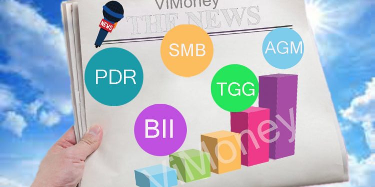 Diem-tin-doanh-nghiep-11-10-TGG-AGM-BII-VKC-TDH-PDR-SMB.jpg