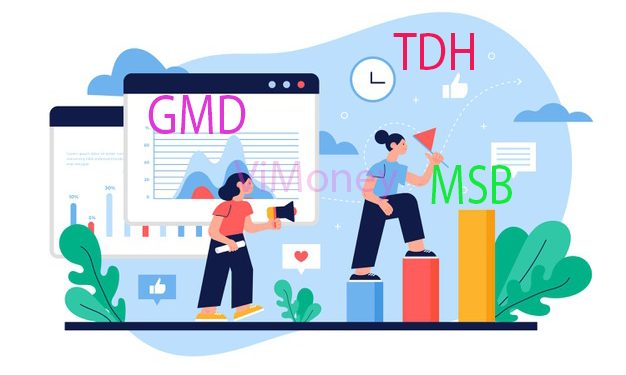 Diem-tin-doanh-nghiep-30-10-GMD-TDH-MSB