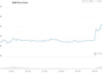 Đồng Shiba Inu đã tăng như trò đùa với 50% trong 1 ngày và lọt vào top 11 loại tiền điện tử lớn nhất