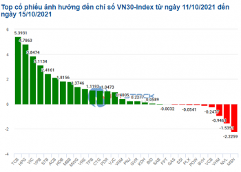 Top Cổ phiếu ảnh hưởng đến VN-Index nhiều nhất tuần 11 - 15/10/2021