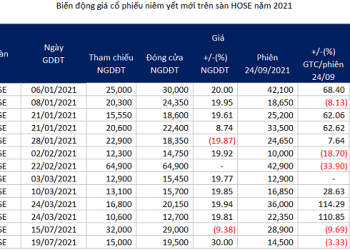 Tân binh nào trên sàn chứng khoán tăng giá mạnh nhất năm 2021?