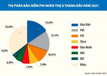 Bảo Việt mất ngôi độc tôn - Thị phần bảo hiểm phi nhân thọ 6 tháng đầu năm 2021