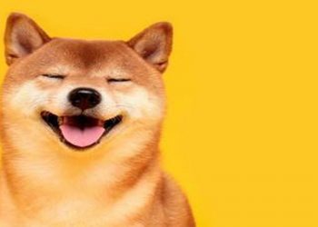 SHIB “gãy cánh”, DOGE lợi dụng cơ hội nhảy đà ATHs