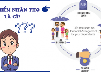 Bảo hiểm nhân thọ là gì? Thông tin cho người mới tham gia.