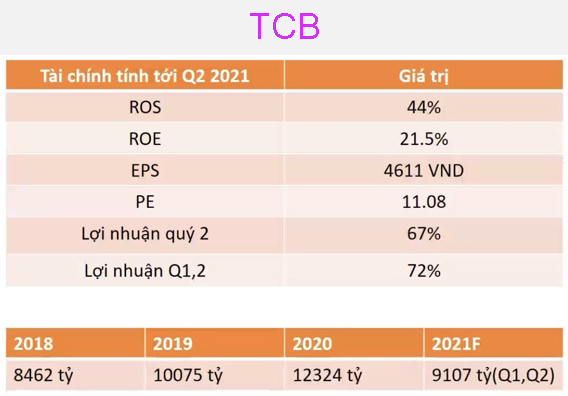 ViMoney-chon-co-phieu-TCB.jpg