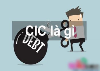 CIC là gì? Hướng dẫn tra cứu CIC online nhanh nhất 2021