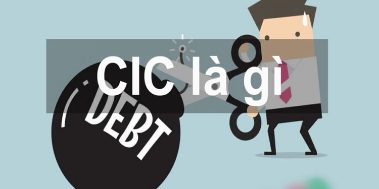 CIC là gì? Hướng dẫn tra cứu CIC online nhanh nhất 2021