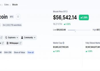 Đồng Bitcoin “vượt vũ môn” 56.000 USD khiến các nhà đầu tư chao đảo