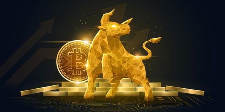 Giá Bitcoin bùng nổ nhân đôi giá trị tài khoản của các “ông lớn”