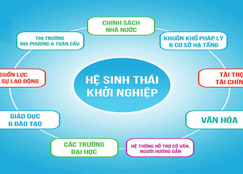 Hệ sinh thái khởi nghiệp cần khai thác nguồn nhân lực