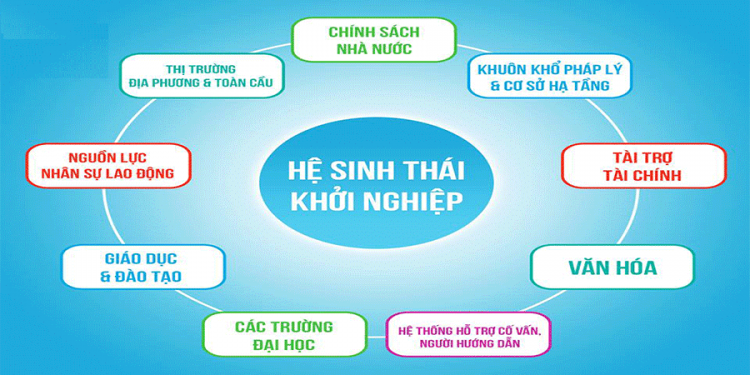 Hệ sinh thái khởi nghiệp cần khai thác nguồn nhân lực