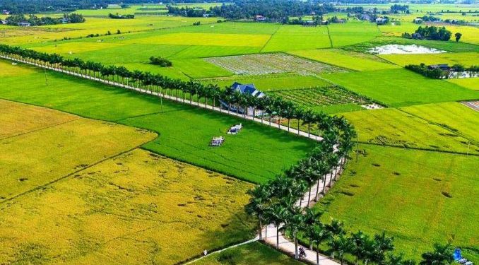 Khi giá đất quê đắt đỏ, ước mơ “Về quê trồng rau, nuôi cá” của những người trẻ thật xa vời