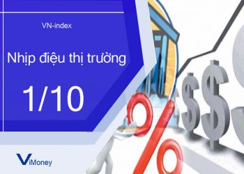 ViMoney-nhip-dieu-thi-truong-1-10 (2).jpg