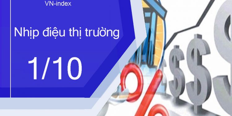 ViMoney-nhip-dieu-thi-truong-1-10 (2).jpg
