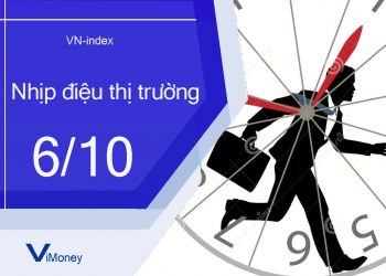 ViMoney-nhip-dieu-thi-truong-6-10.jpg
